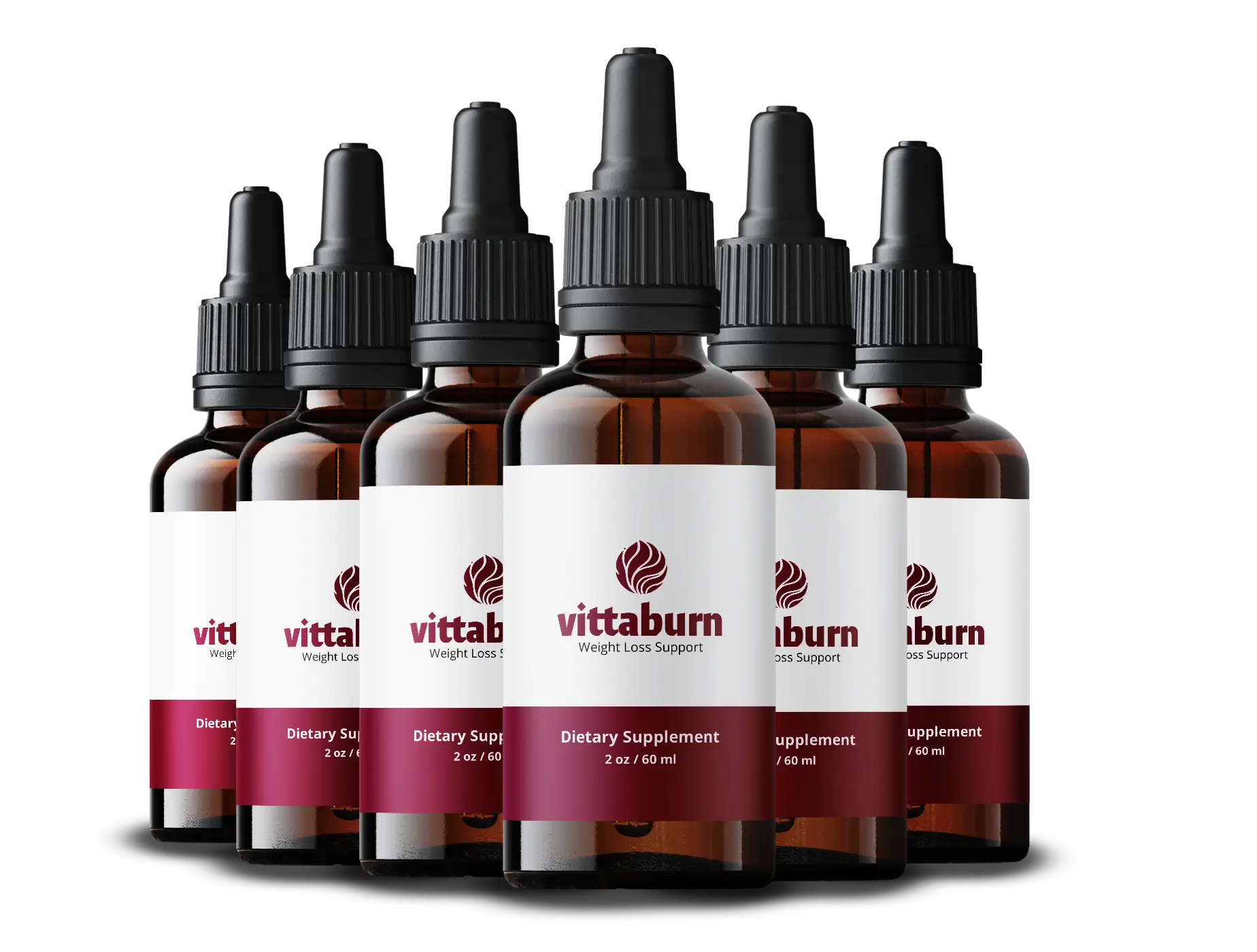 VittaBurn 6 Bottles